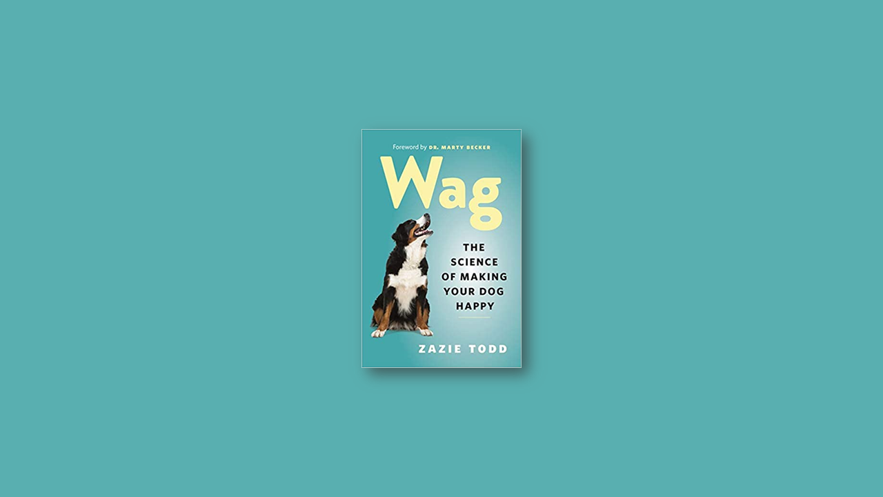 Summary: Wag: The Science of Making Your Dog Happy by Zazie Todd