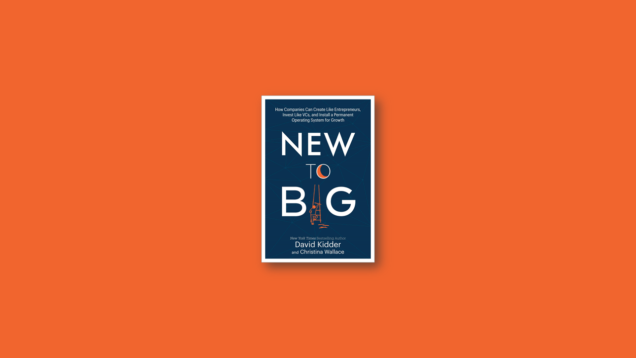 Summary: New to Big By David Kidder