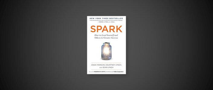 Summary: Spark By Angie Morgan