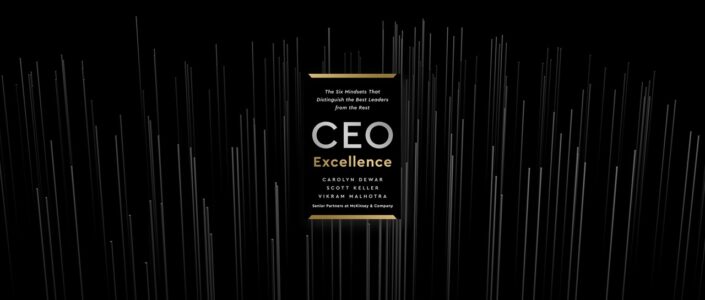 Summary: CEO Excellence By Carolyn Dewar