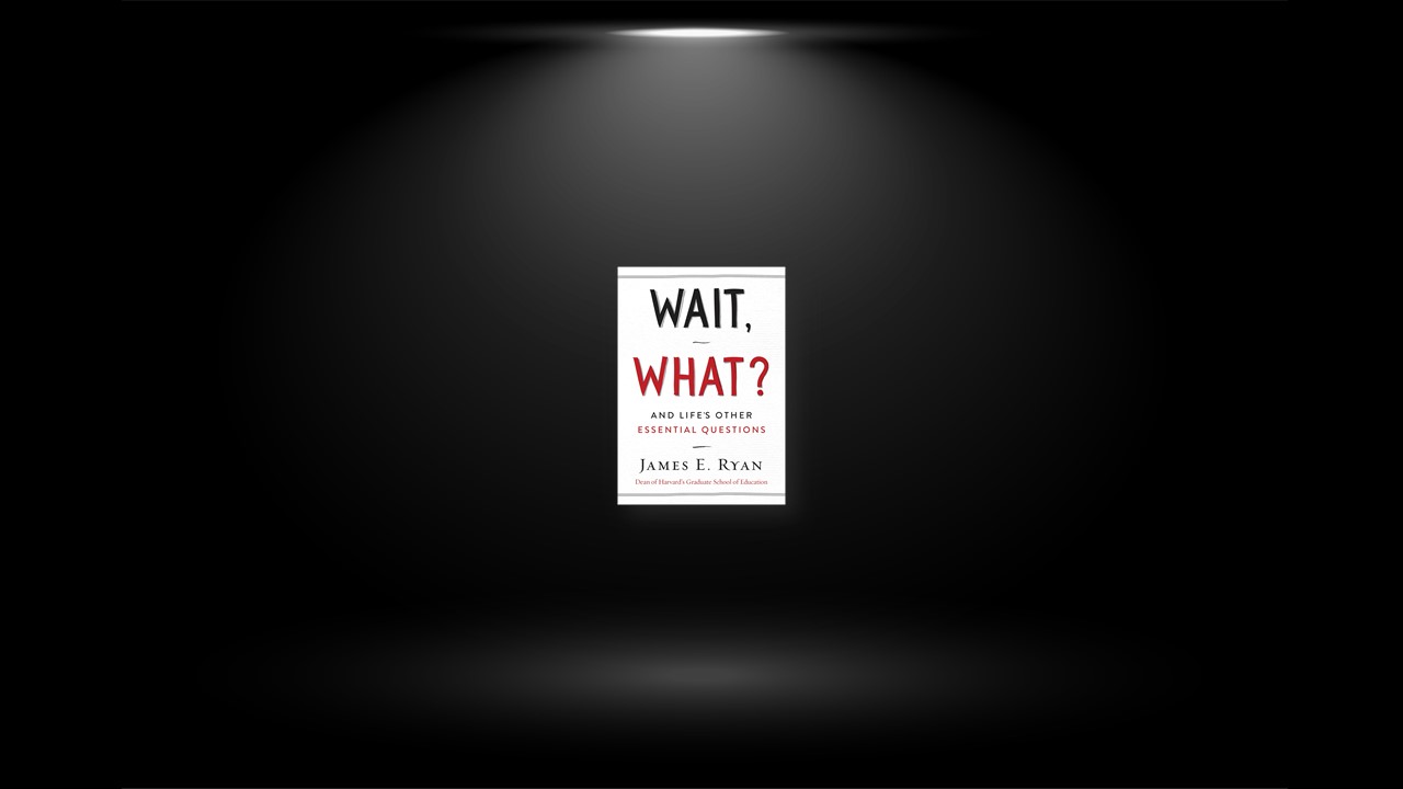 Summary: Wait, What? By James E. Ryan